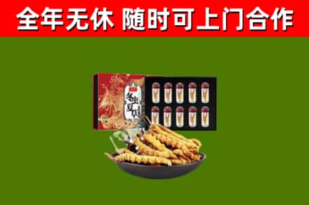 兴城回收冬虫夏草价格
