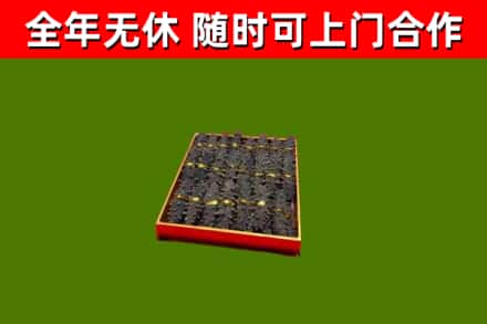 兴城回收海参